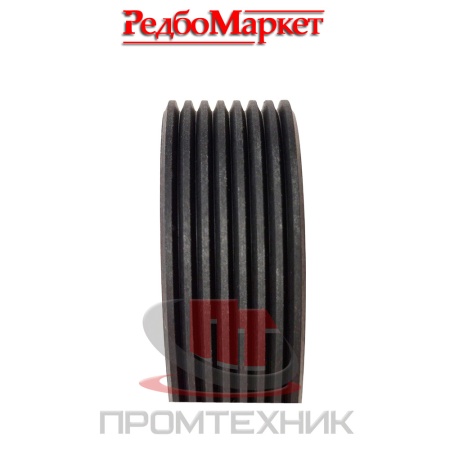 Ремень-рейсмусового-станка-Edon-EBP-33016-2000_1